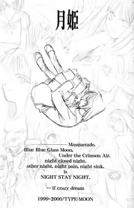 Page 2 of Tsukihime Setteishuu - preview thumbnail