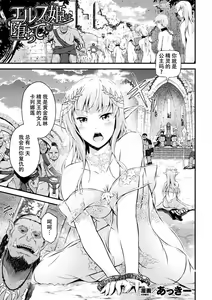 Elf no Hime wa Ochite — hentai manga cover on Fhentai