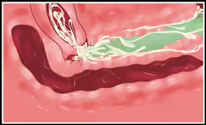 Page 27 of Hakudaku no Morix -Ellen no Ero Ero Tansaku Kikou- - preview thumbnail