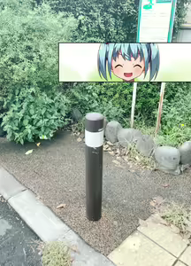 Page 334 of Machinaka no Gokubuto Pole o Shiriana de Gokkun!? Koushuu Koukaku "AR" Koukousei Shashinshuu - preview thumbnail