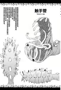 Page 5 of Syokusyu Zukan - preview thumbnail