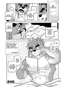 Page 29 of CARTUJA - preview thumbnail