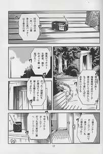 Page 15 of Reijo Nikki - preview thumbnail
