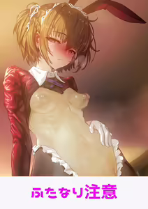Reverse Bunny Suit Futanari (uncensored) — hentai manga cover on Fhentai