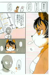 Page 5 of Seiheki kemonohito kemodoru Kuzunoha kon-bi-hen - preview thumbnail