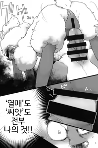 Page 14 of Kohitsuji-chan ni Ki o Tsukete | 양쨩을 조심해 - preview thumbnail