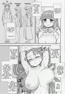 Page 17 of Koakuma no Patchouli Kansatsuki | 소악마의 파츄리 관찰기 - preview thumbnail