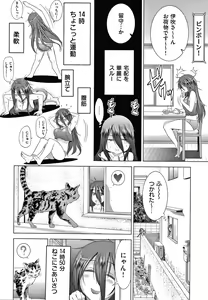 Page 51 of Anekomori plus - preview thumbnail