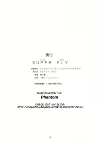 Page 29 of Super Fly (decensored) - preview thumbnail