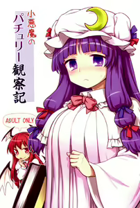 Koakuma no Patchouli Kansatsuki — hentai manga cover on Fhentai