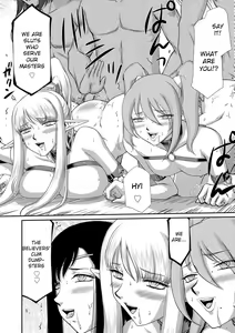 Page 216 of Inraku no Seijo Elvine - preview thumbnail