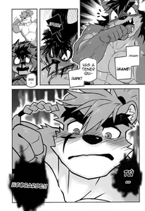 Page 15 of CARTUJA - preview thumbnail