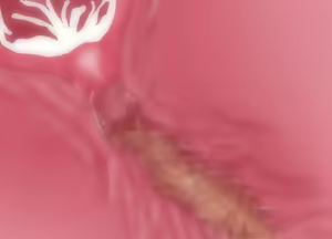 Page 366 of Moshimo Succubus no Dorei o Katte mitara... - preview thumbnail