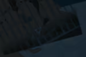 Page 392 of Moshimo Succubus no Dorei o Katte mitara... - preview thumbnail