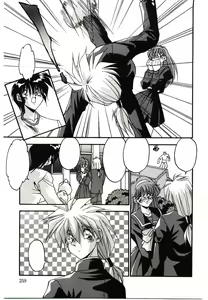Page 261 of Etsuraku no Nikutsubo - preview thumbnail