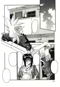 Page 276 of Etsuraku no Nikutsubo - preview thumbnail