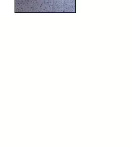 Page 261 of 解禁 初始的快感 - preview thumbnail