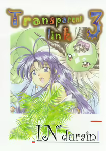 Page 33 of Transparent link 3 - preview thumbnail