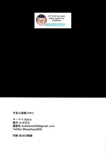 Page 30 of Tsukiyo wa Yukemuri no Naka ni - preview thumbnail