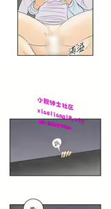 Page 581 of [大葛亮 & 淫亂書生][离婚报告书][Chinese][完结][Part 1] - preview thumbnail