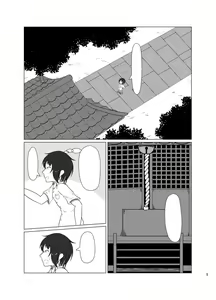 Page 5 of Inari Matsururu Yashiro ni te (decensored) - preview thumbnail