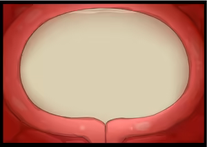 Page 219 of Island SAGA (decensored) - preview thumbnail