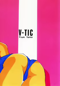 Page 2 of V-TIC 11 - preview thumbnail