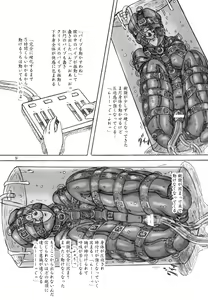 Page 9 of Hitobashira Shigan - preview thumbnail