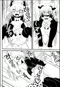Page 19 of Cat & Dragon 2 - preview thumbnail