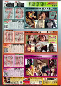 Page 237 of Vitaman DELUXE 2009-10 - preview thumbnail