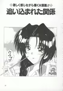 Page 41 of Kinjirareta Oasobi - preview thumbnail