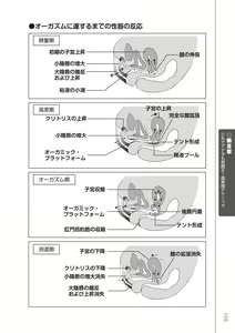 Page 107 of 前戯王 挿入より大事な性感のトリセツ - preview thumbnail
