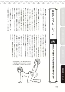 Page 116 of Jitsu Seikan Kaihatsu Naka Iki Kanzen Manual Illust Ban - preview thumbnail