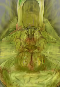 Page 1464 of Human Toilet Sisters - preview thumbnail