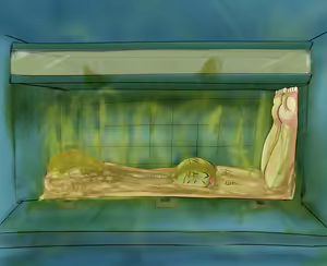 Page 1637 of Human Toilet Sisters - preview thumbnail