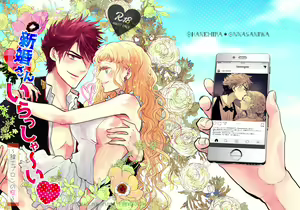 Page 31 of Shinkon-san Irassha~i - preview thumbnail