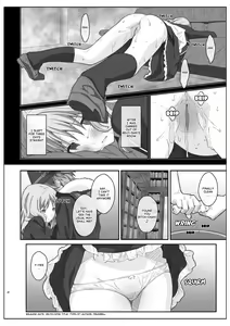 Page 21 of TYPE-40 - preview thumbnail