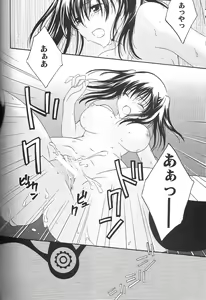 Page 21 of Holic - preview thumbnail