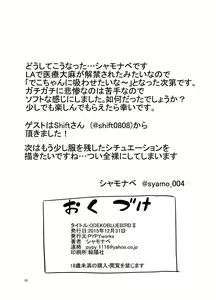 Page 17 of ODEKO BLUE BIRD II - preview thumbnail