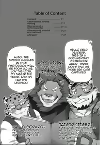 Page 3 of Paparazzi's diary - preview thumbnail