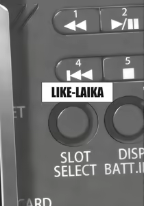 Page 4 of LIKE:LAIKA - preview thumbnail