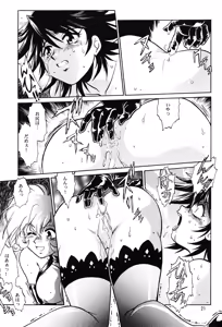 Page 20 of CORRECTOR - preview thumbnail