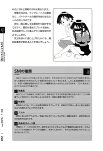 Page 13 of Mi mo Kokoro mo Boku no Mono ~Hajimete no SM Guide~  - YOU ARE MINE!! - preview thumbnail