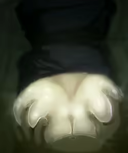 Page 42 of JK Raper - preview thumbnail