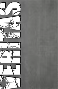 Page 241 of Veritas Vol 10 - preview thumbnail