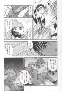 Page 13 of Tenimuhou 1 - preview thumbnail