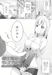 Page 145 of Houshi Shuzoku ga Yattekita! - preview thumbnail