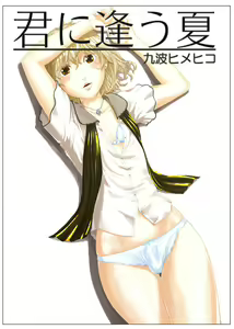 Kimi ni Au Natsu - hentai manga cover image