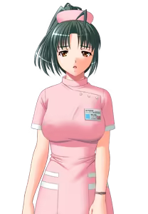 Page 865 of Yakan Shinryou ~Nurse Choukyou Karte~ - preview thumbnail
