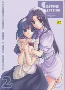 Costume Collection 2 - hentai manga cover image